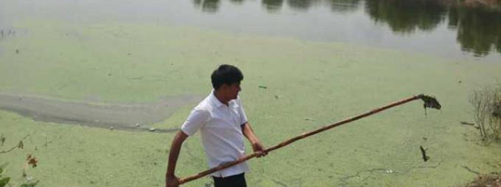 Redonner vie aux lacs indiens, régénérer les lacs désert 